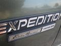 2001 Estate Green Metallic Ford Expedition Eddie Bauer  photo #6