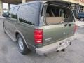2001 Estate Green Metallic Ford Expedition Eddie Bauer  photo #10