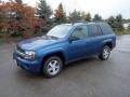 Superior Blue Metallic - TrailBlazer LS 4x4 Photo No. 2