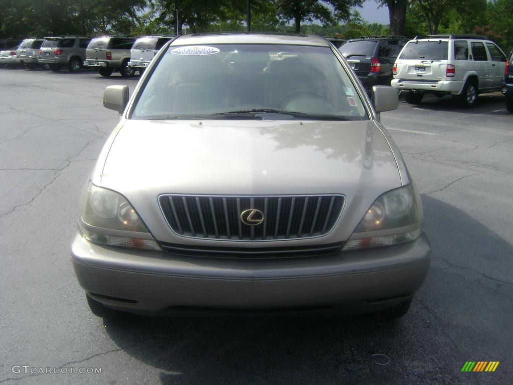 1999 RX 300 - Burnished Gold Metallic / Ivory photo #3