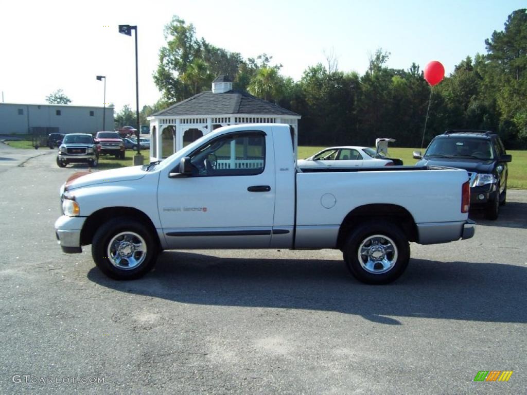 2002 Ram 1500 ST Regular Cab - Bright White / Dark Slate Gray photo #8