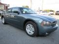 Silver Steel Metallic - Charger SE Photo No. 4
