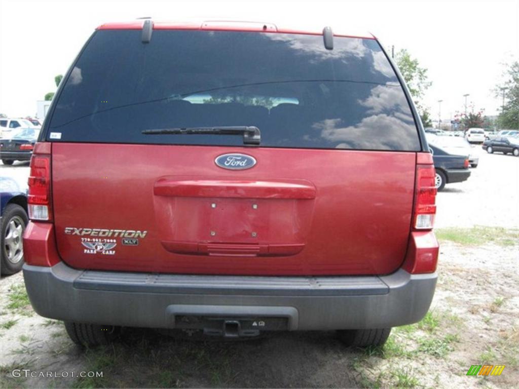 2003 Expedition XLT - Laser Red Tinted Metallic / Flint Grey photo #2