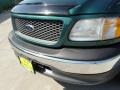 2000 Amazon Green Metallic Ford F150 XLT Extended Cab  photo #11