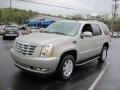 Quicksilver - Escalade AWD Photo No. 5
