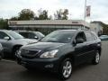Flint Mica - RX 350 AWD Photo No. 1