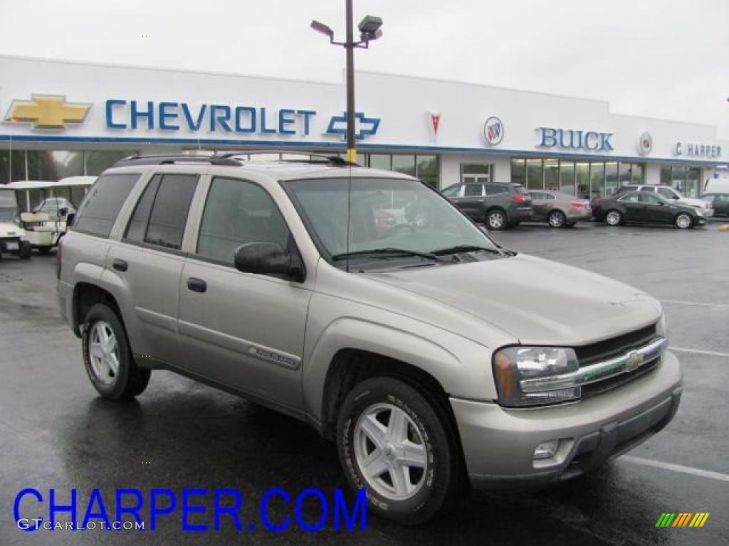 2003 TrailBlazer LT 4x4 - Light Pewter Metallic / Medium Pewter photo #1