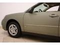 2006 Silver Green Metallic Chevrolet Malibu LS Sedan  photo #22