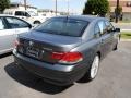 2007 Titanium Grey Metallic BMW 7 Series 750i Sedan  photo #8