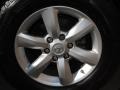 Tungsten Silver Pearl - GX 460 Photo No. 20