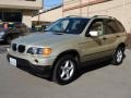 2001 Pearl Beige Metallic BMW X5 3.0i  photo #3