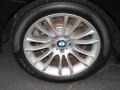 2010 BMW 7 Series 750Li Sedan Wheel and Tire Photo