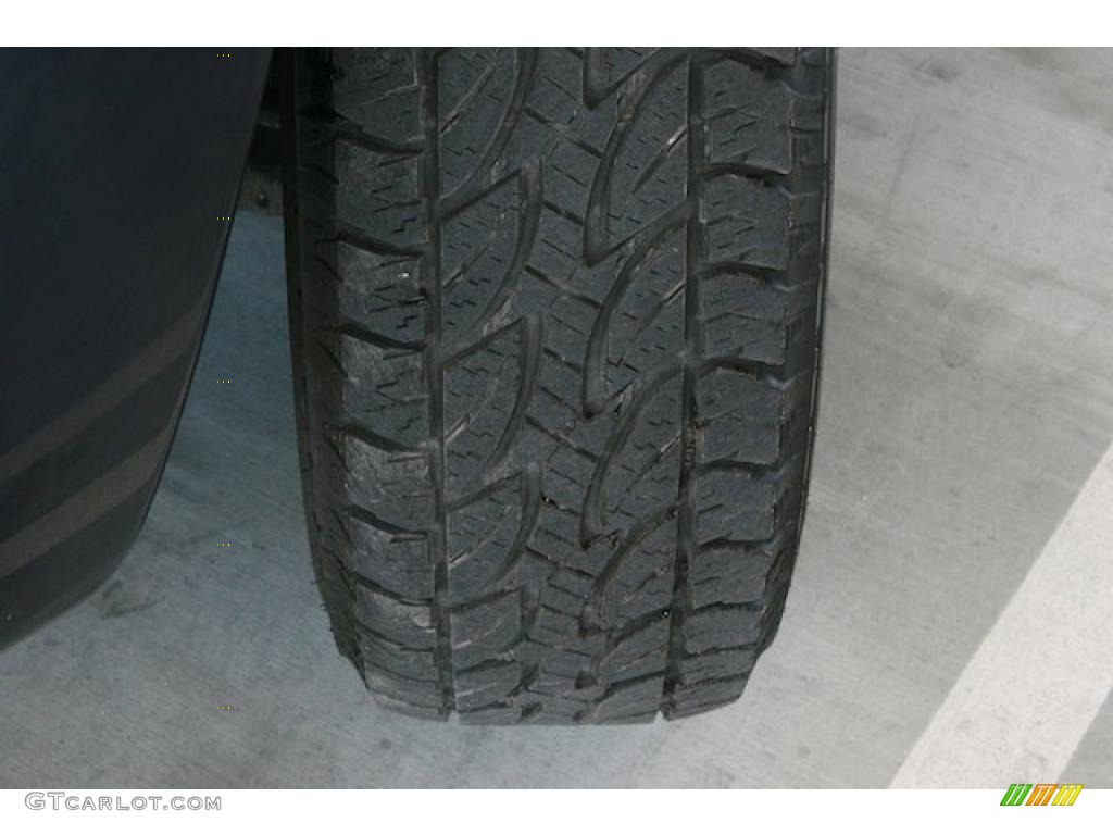 2004 4Runner Sport Edition 4x4 - Stratosphere Mica / Dark Charcoal photo #40
