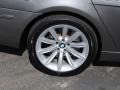 2008 Sterling Grey Metallic BMW 7 Series 750Li Sedan  photo #8