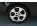 2009 Volkswagen GTI 2 Door Wheel and Tire Photo