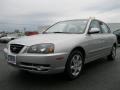 Sterling Metallic - Elantra GLS Sedan Photo No. 1