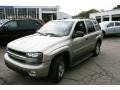 2003 Light Pewter Metallic Chevrolet TrailBlazer LS 4x4  photo #1