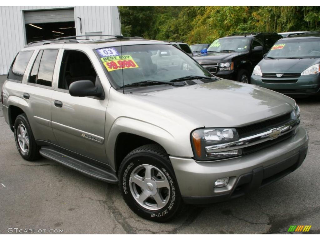 2003 TrailBlazer LS 4x4 - Light Pewter Metallic / Medium Pewter photo #3