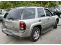 2003 Light Pewter Metallic Chevrolet TrailBlazer LS 4x4  photo #5