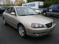 Champagne Metallic - Elantra GLS Sedan Photo No. 11