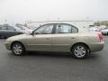 Champagne Metallic - Elantra GLS Sedan Photo No. 12