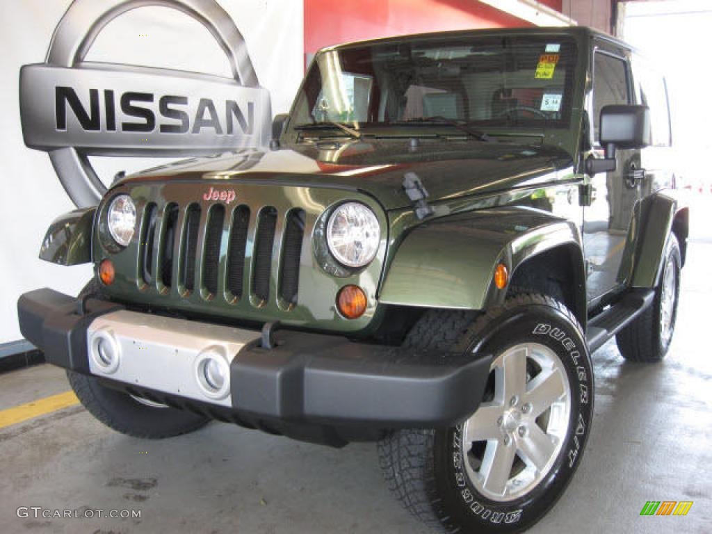 2009 Wrangler Sahara 4x4 - Jeep Green Metallic / Dark Slate Gray/Medium Slate Gray photo #2