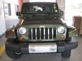 2009 Jeep Green Metallic Jeep Wrangler Sahara 4x4  photo #3