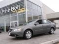 Willow Gray - Sonata GLS Photo No. 1