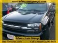 Black - TrailBlazer LS 4x4 Photo No. 1