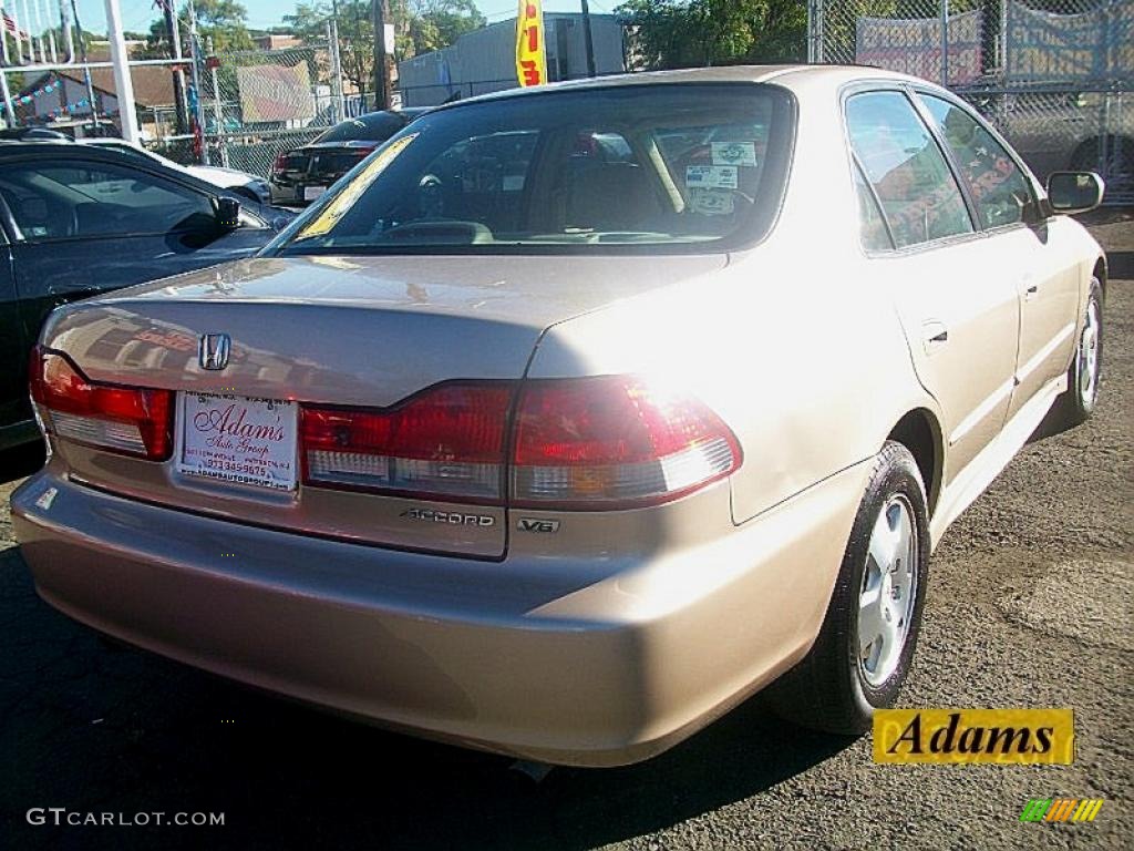 2001 Accord EX V6 Sedan - Naples Gold Metallic / Quartz Gray photo #4