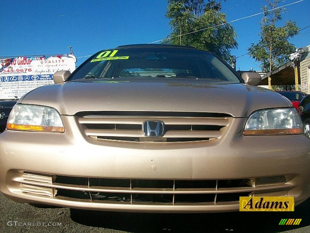 2001 Accord EX V6 Sedan - Naples Gold Metallic / Quartz Gray photo #6
