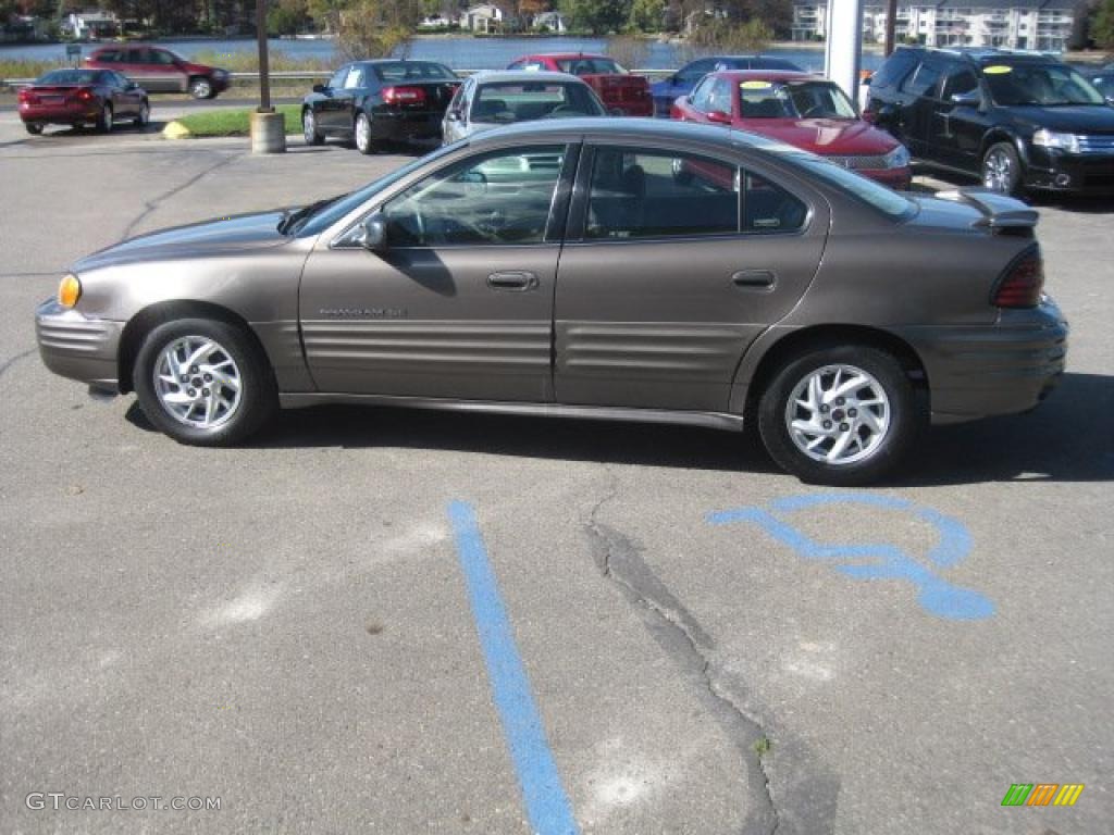 2001 Grand Am SE Sedan - Dark Bronzemist Metallic / Dark Pewter photo #4