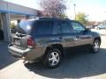 2007 Graphite Metallic Chevrolet TrailBlazer LT 4x4  photo #6