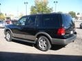 Black Clearcoat - Expedition Eddie Bauer Photo No. 4