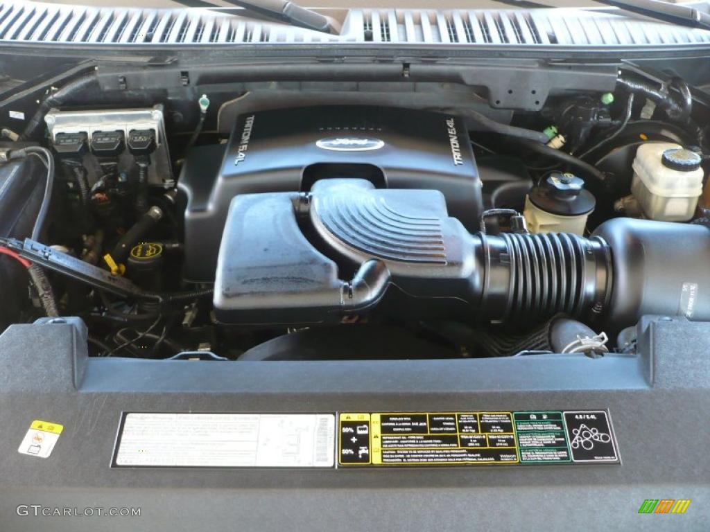 2003 Ford Expedition Eddie Bauer 5.4 Liter SOHC 16-Valve Triton V8 Engine Photo #38172048