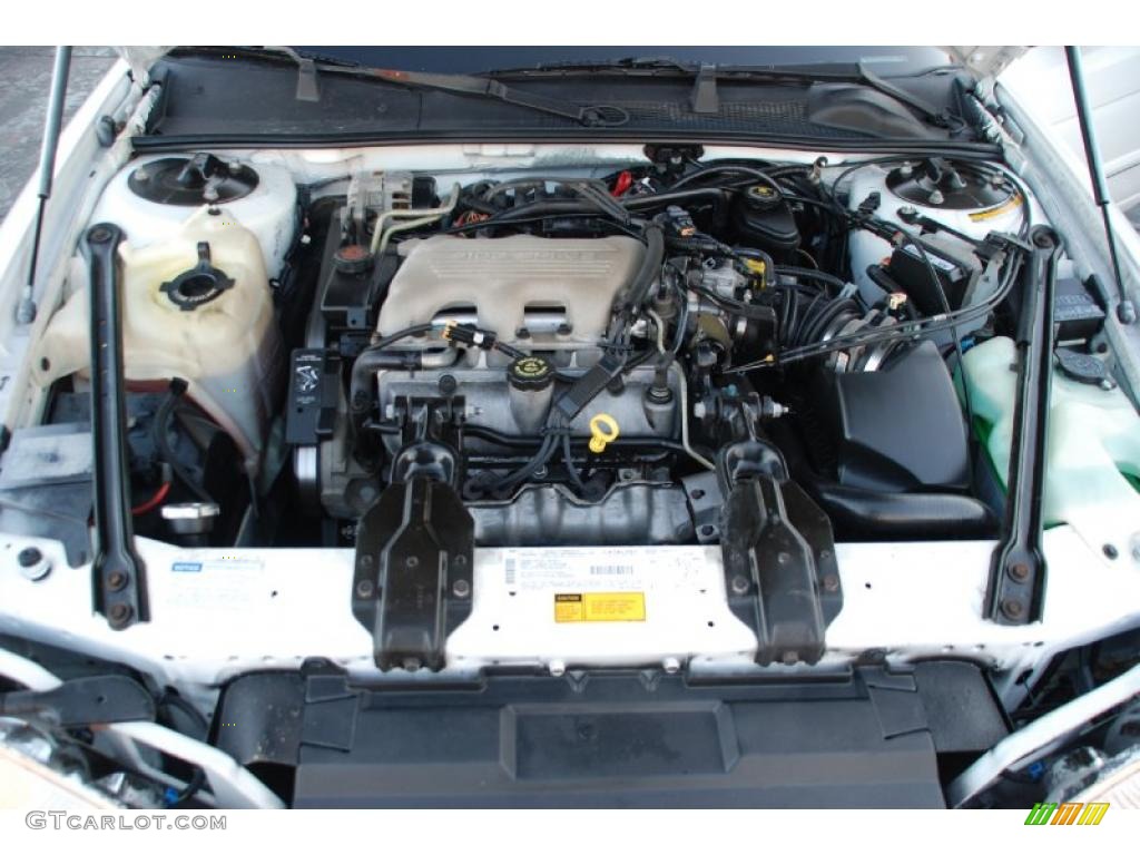 1996 Chevrolet Lumina Standard Lumina Model 3.1 Liter OHV 12-Valve V6 Engine Photo #38174800