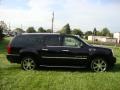 Black Raven - Escalade ESV AWD Photo No. 6