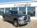 Mineral Gray Metallic 2011 Dodge Ram 2500 HD SLT Regular Cab 4x4