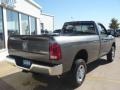 Mineral Gray Metallic - Ram 2500 HD SLT Regular Cab 4x4 Photo No. 8