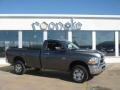 Mineral Gray Metallic - Ram 2500 HD SLT Regular Cab 4x4 Photo No. 9