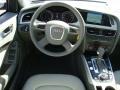 2010 Audi A4 Light Gray Interior Dashboard Photo