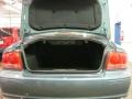 Celadon Green - Sonata GLS V6 Photo No. 6
