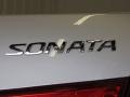 Radiant Silver - Sonata GLS Photo No. 5