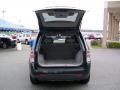 Light Gray Trunk Photo for 2008 Chevrolet Equinox #38197012