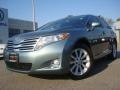 Aloe Green Metallic - Venza I4 Photo No. 1