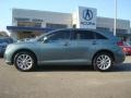 Aloe Green Metallic - Venza I4 Photo No. 3