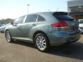 Aloe Green Metallic - Venza I4 Photo No. 4