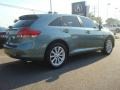 Aloe Green Metallic - Venza I4 Photo No. 5