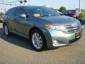Aloe Green Metallic - Venza I4 Photo No. 7