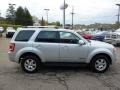 Silver Metallic - Escape Limited 4WD Photo No. 5